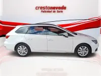 Usado Seat Leon Style 116 CV (85 kW) 2020