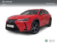 Usado Lexus UX 250h Business Edition 184 CV (135 kW) 2022 Rojo SUV
