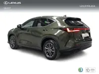 Usado Lexus NX350h Executive Line 242 CV (177 kW) 2023 Verde SUV