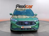 Usado Ford Kuga ST-Line 150 CV (110 kW) 2025 Verde SUV