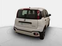 Usado Fiat Panda Cross Cross 71 CV (52 kW) 2023 Blanco Utilitario