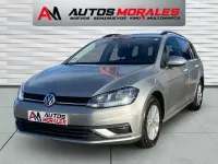 Usado VW Golf VII Advance 116 CV (85 kW) 2019 Gris Familiar