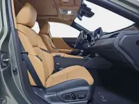 Usado Lexus ES300 Luxury Line 218 CV (160 kW) 2025 Verde Berlina
