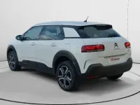 Usado Citroën C4 Cactus Live 110 CV (80 kW) 2020 Utilitario