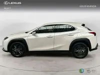 Usado Lexus UX 300h 199 CV (146 kW) 2026 Blanco SUV