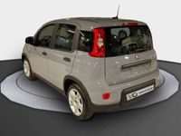 usado Fiat Panda 1.0 MHEV S/S 70CV 5P