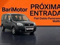 Usado Fiat Doblò 84 CV (61 kW) 2007 Gris Monovolumen