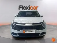 Usado Kia Sportage 160 CV (117 kW) 2024 Blanco SUV