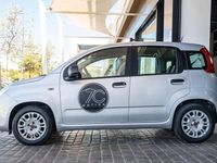 Usado Fiat Panda Easy 69 HP (50 kW) 2018 Cinzento Citadino
