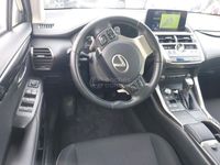 usado Lexus NX300h Business Navigation 2wd