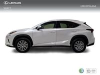 Usado Lexus NX300h Business Edition 197 CV (144 kW) 2019 Blanco SUV
