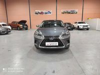 Usado Lexus NX300h 197 CV (144 kW) 2021 Gris SUV