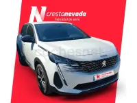 Usado Peugeot 3008 Allure 130 CV (95 kW) 2024 Blanco SUV