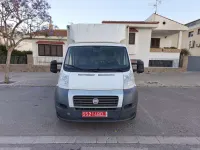 Usado Fiat Ducato 150 CV (110 kW) 2014 Blanco Van