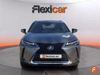 Usado Lexus UX Executive Line 184 CV (135 kW) 2019 Gris SUV