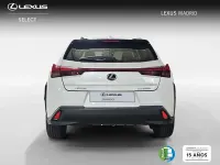 Usado Lexus UX Business Edition 184 CV (135 kW) 2022 Blanco SUV