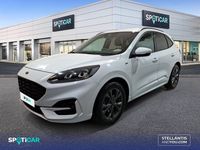 Usado Ford Kuga ST-Line 150 CV (110 kW) 2022 Blanco SUV