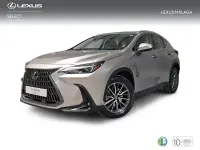 Usado Lexus NX350h Business Edition 242 CV (177 kW) 2022 Gris SUV