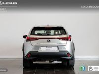 Usado Lexus UX 250h Executive Line 184 CV (135 kW) 2020 Plateado SUV