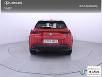 Usado Lexus UX Business Edition 184 CV (135 kW) 2022 Rojo SUV