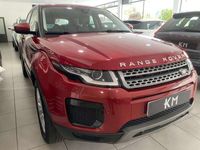 usado Land Rover Range Rover evoque 2.0eD4 Pure 2WD 150