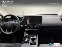 Usado Lexus NX450h+ 292 CV (214 kW) 2025 Gris / plata SUV
