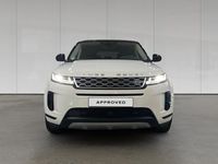 Usado Land Rover Range Rover evoque SE 163 CV (119 kW) 2022 Fuji white SUV