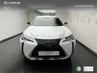 Usado Lexus UX Business Edition 184 CV (135 kW) 2023 Blanco SUV