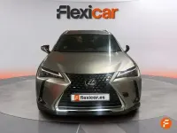 Usado Lexus UX Business Edition 184 CV (135 kW) 2022 Gris SUV