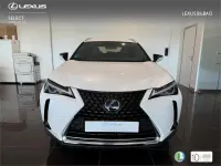 Usado Lexus UX 250h 184 CV (135 kW) 2022 Blanco SUV