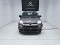 usado Fiat Panda 1.0 Gse Hybrid Pack Comfort Plus