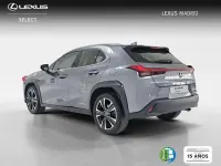 Usado Lexus UX 250h 184 CV (135 kW) 2021 Gris SUV