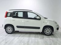 usado Fiat Panda 1.2 Lounge