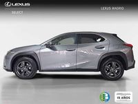 Usado Lexus UX 250h Business Edition 185 CV (136 kW) 2021 Gris SUV