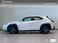 Usado Lexus UX 250h Business Edition 184 CV (135 kW) 2022 SUV