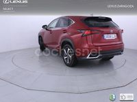 Usado Lexus NX300h Luxury Line 197 CV (144 kW) 2020 Rojo SUV