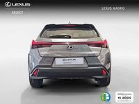Usado Lexus UX 250h Business Edition 184 CV (135 kW) 2021 Gris SUV