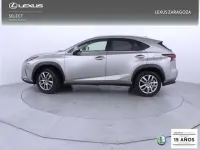 Usado Lexus NX300h Executive Line 197 CV (144 kW) 2018 Gris SUV