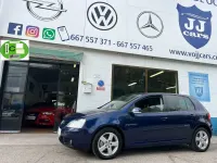 Usado VW Golf IV Conceptline 75 CV (55 kW) 2005 Azul Berlina