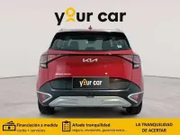 Usado Kia Sportage 136 CV (100 kW) 2024 Rojo SUV