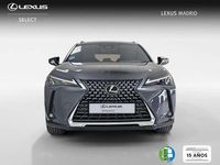 Usado Lexus UX 300h 199 CV (146 kW) 2025 Gris SUV