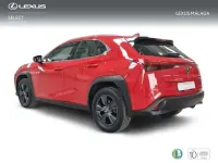 Usado Lexus UX 250h Business Edition 184 CV (135 kW) 2022 Rojo SUV