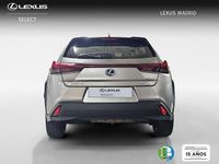 Usado Lexus UX Business Edition 184 CV (135 kW) 2022 Gris / plata SUV