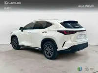 Usado Lexus NX450h+ Executive Line 306 CV (225 kW) 2023 Blanco SUV