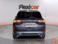 Usado Ford Kuga ST-Line 120 CV (88 kW) 2024 Gris SUV