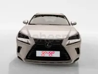 Usado Lexus NX300h Business Edition 197 CV (144 kW) 2019 Blanco SUV
