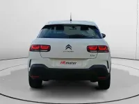 Usado Citroën C4 Cactus Live 110 CV (80 kW) 2026 Blanco Utilitario