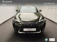 Nuevo Lexus UX 300h 199 CV (146 kW) 2026 Verde SUV