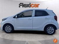 Usado Kia Picanto 67 CV (49 kW) 2019 Blanco Utilitario