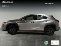 usado Lexus UX 250h Business 2WD